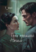 Обложка книги "Тени прошлого. Начало"