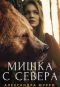 Обложка книги "Мишка с севера"