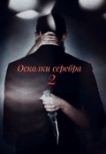 Обложка книги "Осколки серебра. Часть 2."