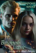 Обложка книги "Второй шанс"
