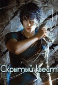 Обложка книги "Скрытый квест"