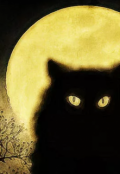 Обложка книги "Хутор Кошачий."
