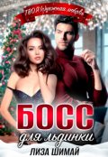 Обложка книги "Босс для льдинки"