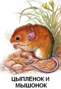 Обложка книги "Цыплёнок и мышонок"