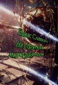 Обложка книги "На струнах мироздания"