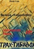 Обложка книги "Валера-Кандибобер"