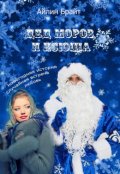 Обложка книги "Дед Мороз и Ксюша"
