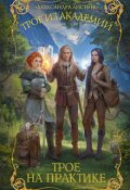 Обложка книги "Трое-1. Трое на практике"