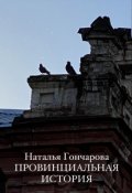 Обложка книги "Провинциальная история"
