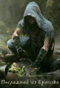 Обложка книги "Последний из Братства. Первые шаги"