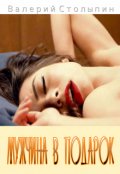 Обложка книги "Мужчина в подарок"