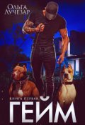 Обложка книги "Гейм"