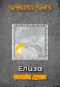 Обложка книги "Елиза. Огонёк души"