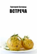 Обложка книги "Встреча"