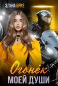 Обложка книги "Огонек моей души"