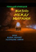 Обложка книги "Жизнь между мирами или Куда уходят усопшие люди"