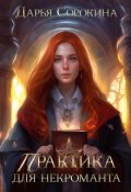 Обложка книги "Практика для некроманта"