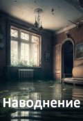 Обложка книги "Наводнение"