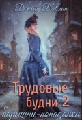 Обложка книги "Трудовые будни барышни-попаданки 2"