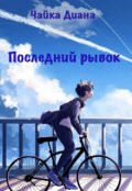 Обложка книги "Последний рывок"