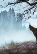 Обложка книги "Приключения в замке (из воспоминаний оруженосца)"
