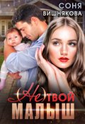 Обложка книги "(не) твой малыш"
