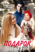 Обложка книги "Подарок для Мажора"