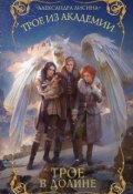 Обложка книги "Трое-4. Трое в долине"