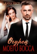 Обложка книги "Огурец моего босса"