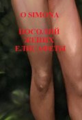 Обложка книги "Посолий жених Елисафеты."