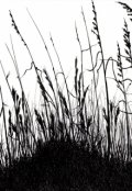Обложка книги "Тень полей"