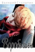 Обложка книги "Воробышек"