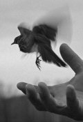 Обложка книги "Прощение души "