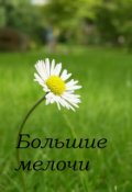 Обложка книги "Большие мелочи"