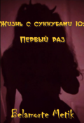 Обложка книги "Жизнь с суккубами 10: Первый раз"