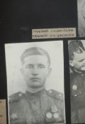 Обложка книги "Дневник Героя"