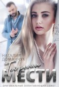 Обложка книги "Теорема мести"