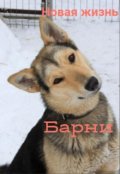Обложка книги "Новая жизнь Барни"