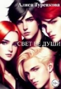 Обложка книги "Свет её души"