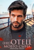 Обложка книги "(не) Отец моего сына"