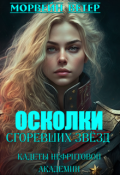 Обложка книги "Осколки сгоревших звёзд. 1. Кадеты Нефритовой академии"