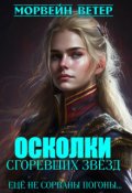 Обложка книги "Осколки сгоревших звёзд. 2. Ещё не сорваны погоны..."