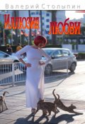 Обложка книги "Иллюзия любви"