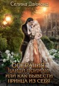 Обложка книги "Операция: найди-поймай, или как вывести принца из себя"