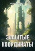 Обложка книги "Забытые координаты"