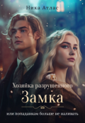 Обложка книги "Хозяйка разрушенного замка,или попаданкам больше не наливать"