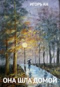 Обложка книги "Она шла домой"