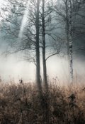 Обложка книги "в туман"