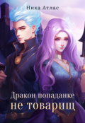 Обложка книги "Дракон попаданке не товарищ"