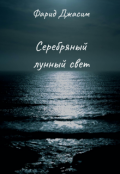 Обложка книги "Серебряный лунный свет"